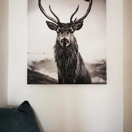 شقة Homberg Stuben وينتربرغ