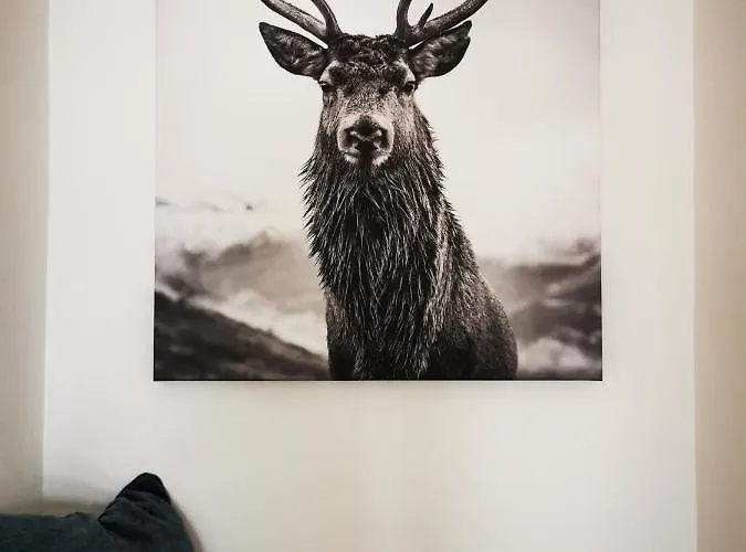 شقة Homberg Stuben وينتربرغ